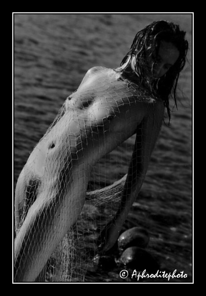 60 Le filet au vent 3